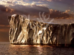 Twillingate, golden iceberg